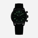 Shoreline Watch