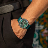 Shoreline Watch